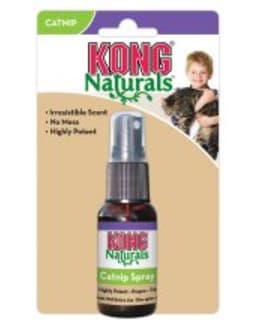 KONG CATNIP SPRAY 30ML KISSANMINTTUSUIHK Main Image