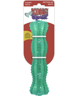 KONG SQUEEZZ DENTAL STICK KOIRANLELU Main Image