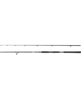ABU GARCIA 1561321 BEAST PIKE 2.44M F 40 Main Image