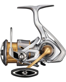 DAIWA 21FREAMS LT 2000D AVOKELA Main Image