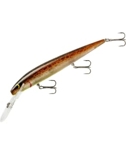 SMITHWICK TOP 20 ROGUE 301 VAAPPU Main Image