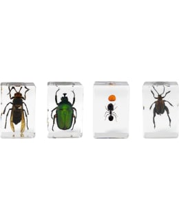 CELESTRON MICROSCOPE SAMPLE 3D BUG KIT # Main Image