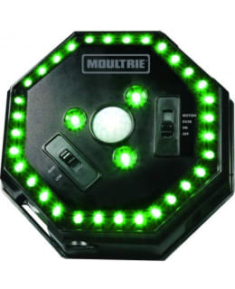 MOULTRIE FEEDER HOG LIGHT VIH PASSIVALO Main Image