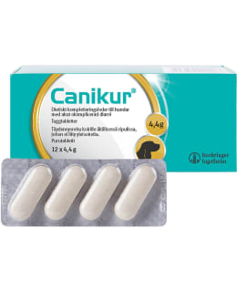 CANIKUR TABLETIT 12 KPL TÄYDENNYSREHU Main Image