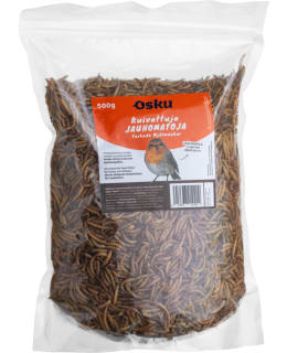 OSKU 500G KUIVATTUJA JAUHOMATOJA Main Image
