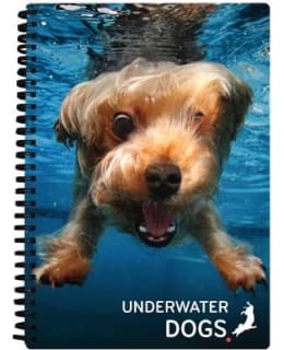 3D KOIRA A5 VIHKO Main Image