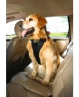 KURGO TRU-FIT MUSTA M VALJAS Main Image