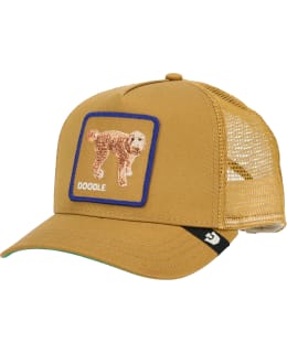 FW26-101-3413-AMB01-O/S CAPS Main Image