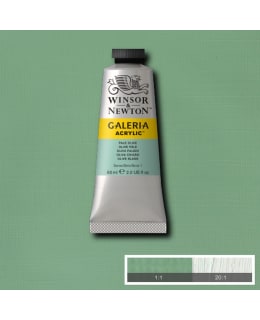 W&N GALERIA 60ML 435 PALE OLIVE Main Image