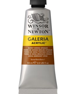 W&N GALERIA 60ML 077 BURNT SIENNA OPAQUE Main Image