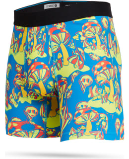 STANCE VOYAGERZ BOXER M M803C22VOY SLT S Main Image