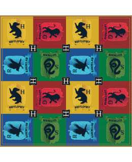 HARRY POTTER 16KPL LAUTASLIINA Main Image