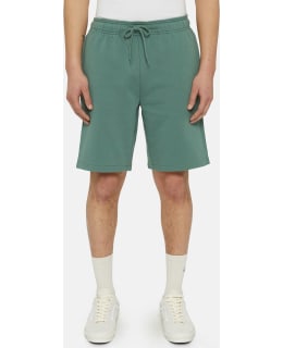 DICKIES DK0A4Y83H151001-XS M.SHORT Main Image