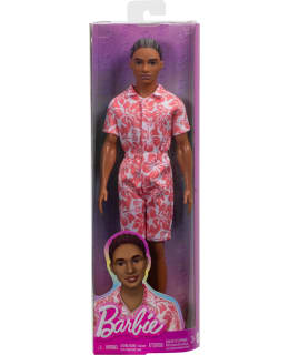 BARBIE KEN FASHIONISTA PRINTTIHAALARISSA Main Image