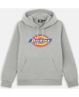 DICKIES DK0A4XCBGYM1-L M.HUPPARI Main Image