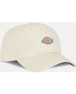 DICKIES DK0A4TKVF901-WHG-OS M.LIPPALAKKI Main Image