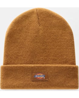 DICKIES DK0A4X7KBD01-BRD-OS M.PIPO Main Image