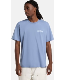 DICKIES DK0A4Z95K371-L M.T-PAITA Main Image