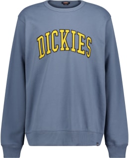 DICKIES DK0A4XABG701-XS M.COLLEGEPAITA Main Image