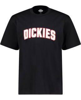DICKIES DK0A88GLBLK1-L AITKIN M.T-SHIRT Main Image