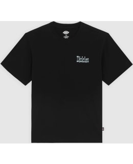 DICKIES DK0A88JVBLK1-XL VERNAL M.T-SHIRT Main Image
