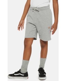 DICKIES DK0KRR330H21-HEG-M MAPLET SHORT Main Image