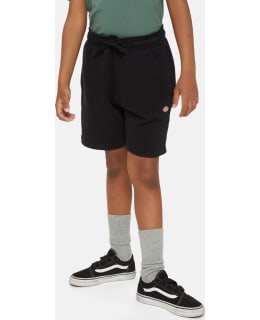 DICKIES DK0KRR33KBK1-KNB-XL MAPLET SHORT Main Image