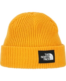 TNF SALTY LINED BEANIE NF0A8CGZ56P1 OS Main Image