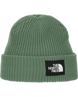 TNF SALTY LINED BEANIE NF0A8CGZBQ11 OS Main Image