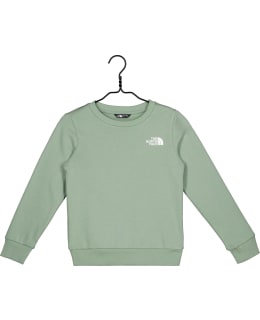 TNF TEEN SIMP DOME CREW NF0A8AXYBQ11 XL Main Image