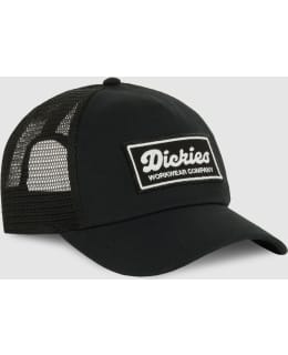 DICKIES DK0A4Z6MBLK1-M M.LIPPIS Main Image