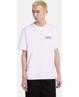 DICKIES DK0A4Z950WH1-L M.T-PAITA Main Image