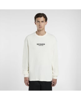 DICKIES DK0A87QWC481-EGR-XL M.PAITA Main Image