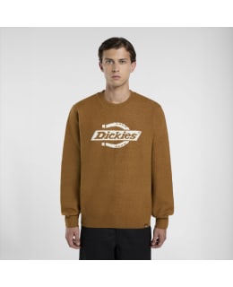 DICKIES DK0A87OQ0BD1-BRD-S M.NEULEPAITA Main Image