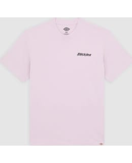 DICKIES DK0A87QPK731-WIO-L M.T-PAITA Main Image