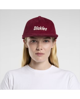 DICKIES DK0A87NEK741-TIR-OS M.LIPPALAKKI Main Image