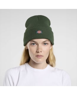 DICKIES DK0A4Z3RPIN1-PNG-OS L.BEANIE Main Image