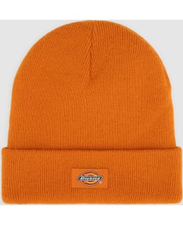 DICKIES DK0A4X7KK641-AUM-OS M.PIPO Main Image