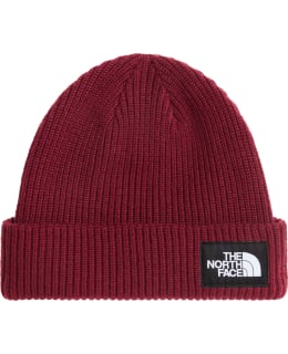 TNF SALTY BEANIE NF0A8CGZMVO1 OS Main Image