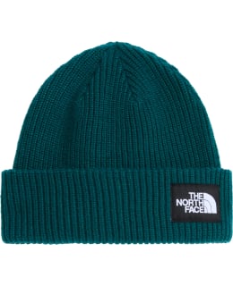 TNF SALTY BEANIE NF0A8CGZN4J1 OS Main Image