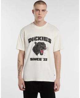 DICKIES DK0A8CU2C481-XL M.T-PAITA Main Image