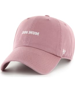 47 BRAND ICON SLO CAP BSRIC1413GWS-QC Main Image