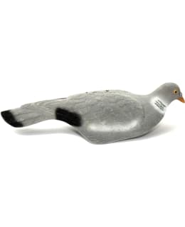 LIVE PIGEON KYYHKY KUORIKUVA Main Image