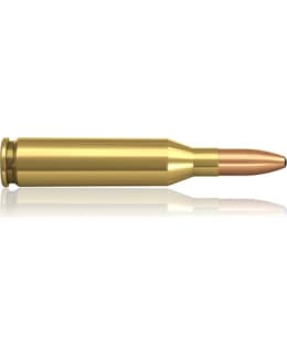 NORMA 243 6,5G SP 20KPL PATRUUNA Main Image