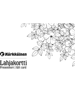 VALKOINEN PENSAS 25EUR LAHJAKORTTI Main Image