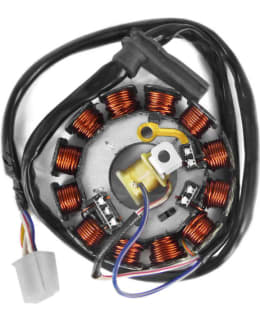 TNT STATOR, AM6, 12-POLE Main Image