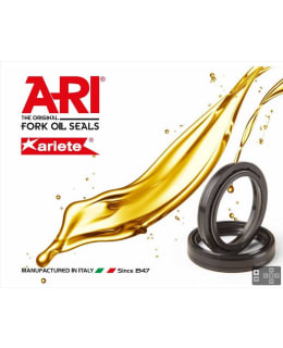 ARI OIL SEAL, 41 X 53 X 8/10,5 Main Image