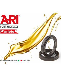 ARI OIL SEAL, 37 X 50 X 11 Main Image