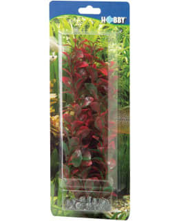 HOBBY LUDWIGIA 34CM MUOVIKASVI Main Image