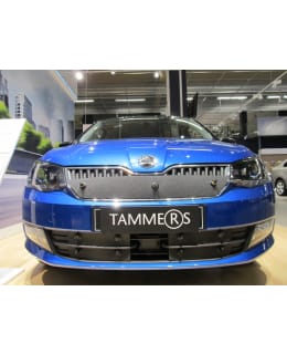 TAMMERS SKODA FABIA III 2015- MASKISUOJA Main Image
